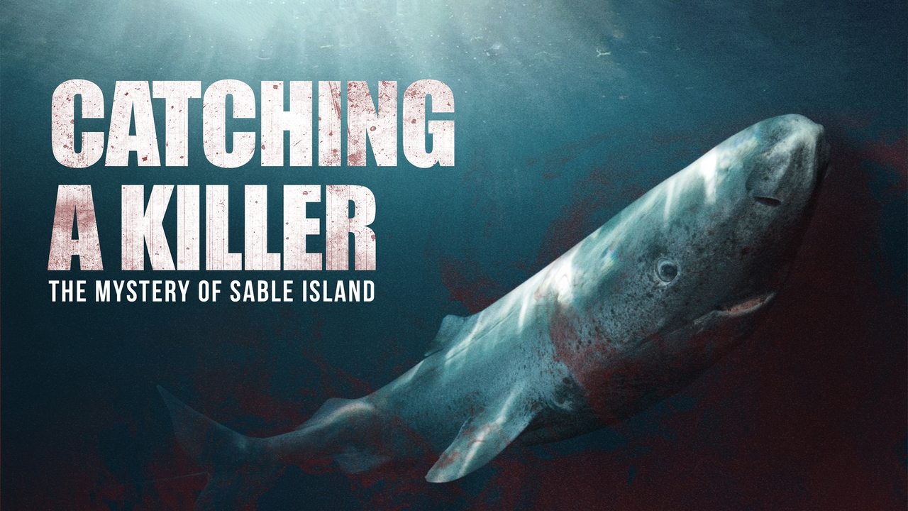 Catching a Killer: The Mystery of Sable Island