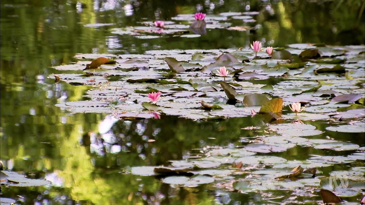 Monty Don's French Gardens