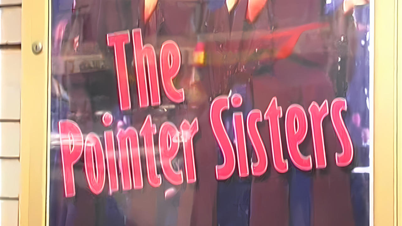 The Pointer Sisters: Live in Concert