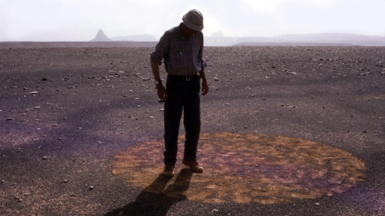 Stones and Flies: Richard Long in the Sahara