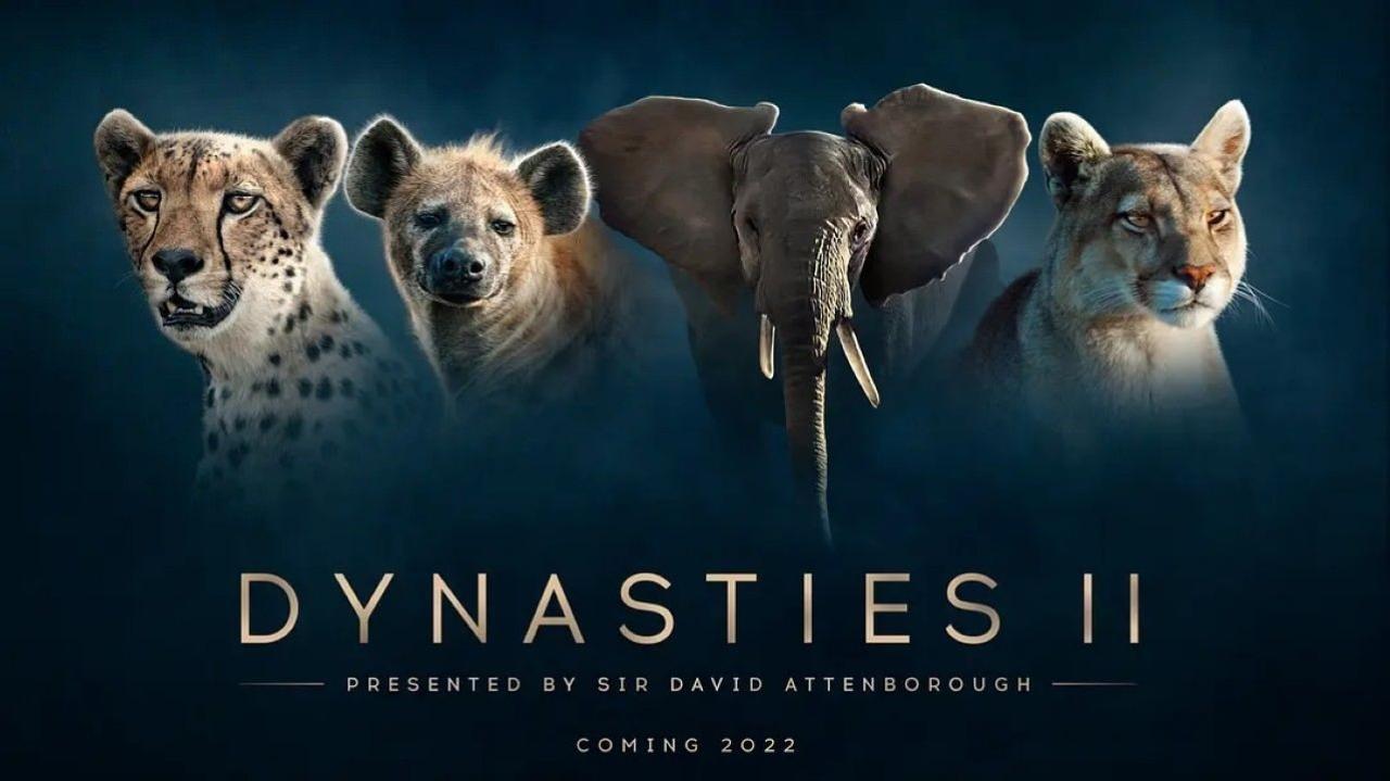 Dynasties