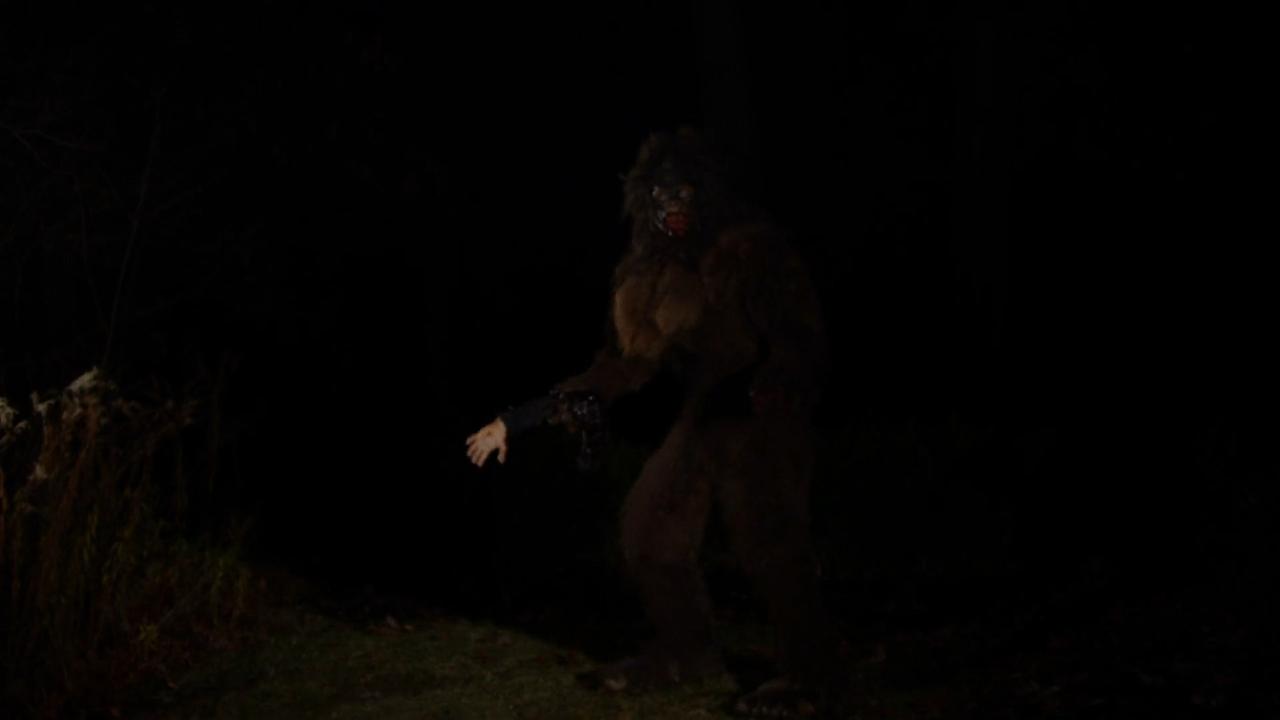 Bigfoot The Movie