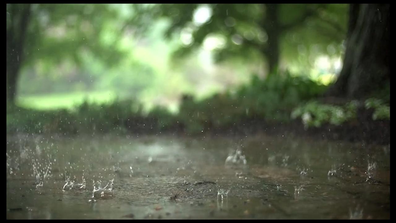 Reflections in a Raindrop: A Student Film