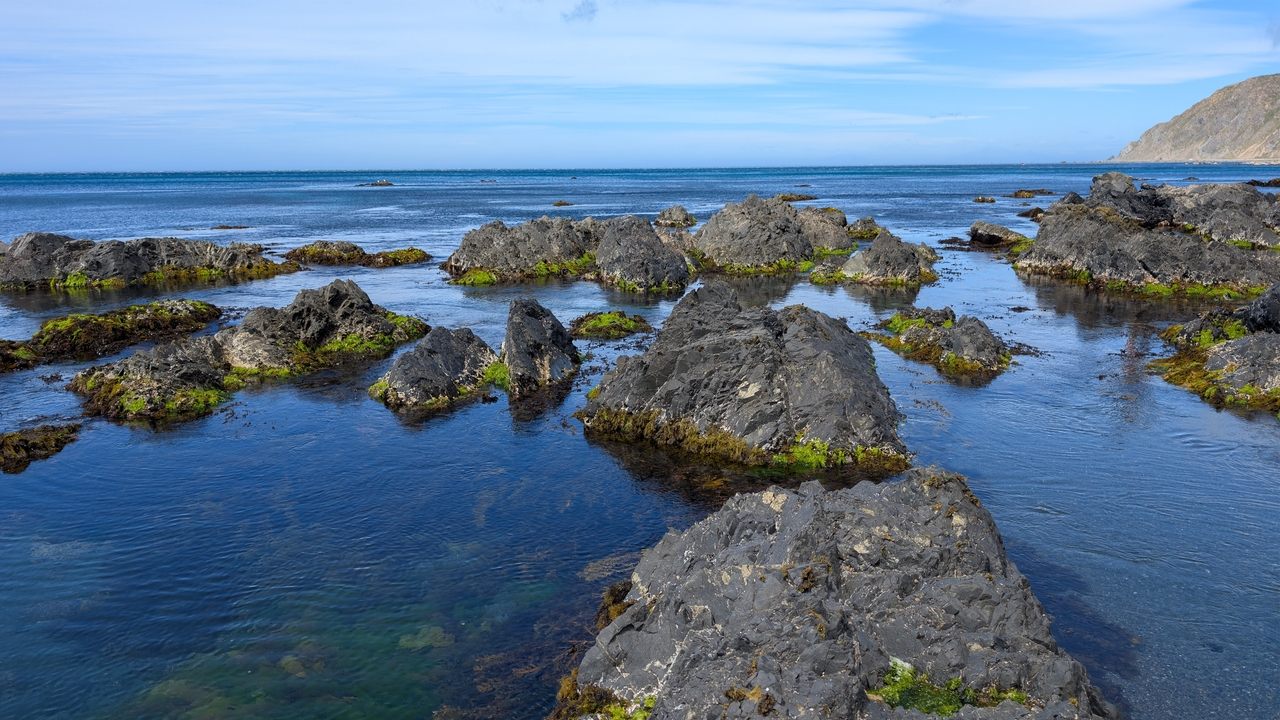 Aotearoa: A Mosaic of Moments