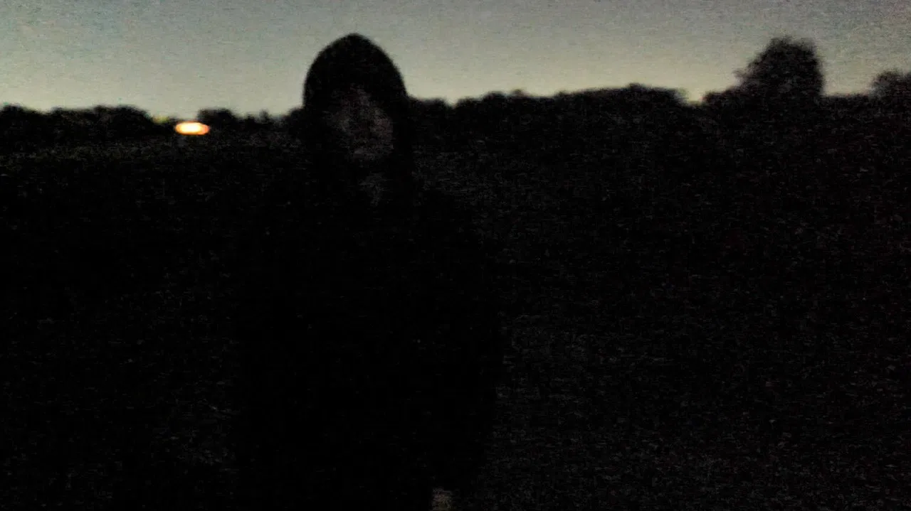 Phobophobia