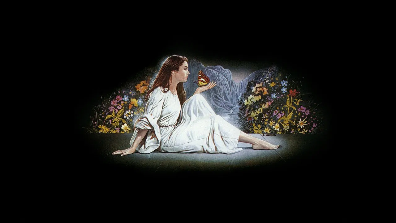 Phenomena