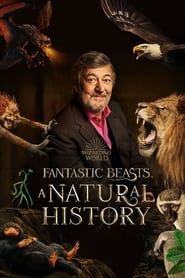 Watch Fantastic Beasts: A Natural History