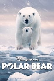Watch Polar Bear
