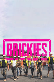 Watch Brickies