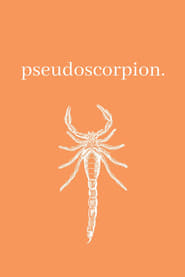 Watch Pseudoscorpion