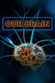 Watch Our Brain