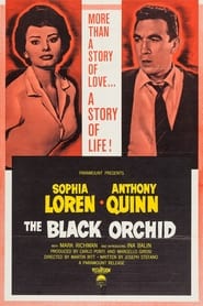 Watch The Black Orchid