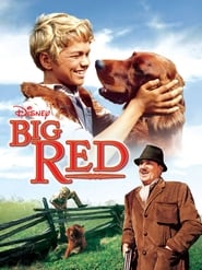 Watch Big Red