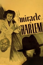 Watch Miracle in Harlem