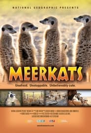 Watch Meerkats 3D