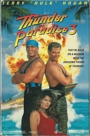 Watch Thunder in Paradise 3