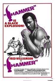 Watch Hammer