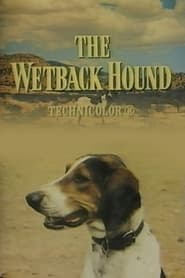 Watch The Wetback Hound