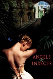 Watch Angels and Insects
