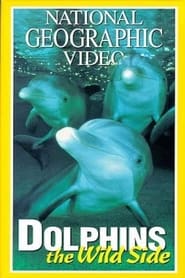 Watch Dolphins: The Wild Side