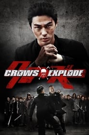 Watch Crows Explode