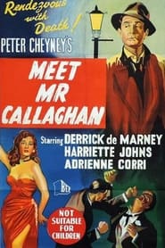 Watch Meet Mr. Callaghan