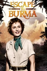 Watch Escape to Burma