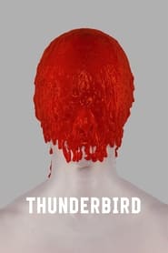 Watch Thunderbird