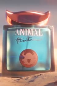 Watch Animal Attraction