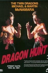 Watch Dragon Hunt