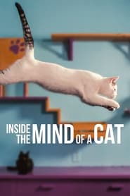 Watch Inside the Mind of a Cat