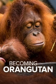 Watch Becoming Orangutan
