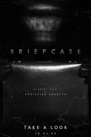 Watch Briefcase