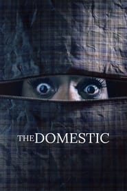 Watch The Domestic