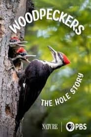 Watch Woodpeckers: The Hole Story