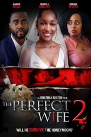 Watch The Perfect Wife 2