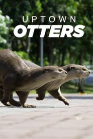 Watch Uptown Otters