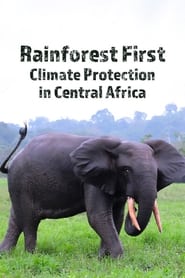 Watch Rainforest First: Climate Protection in Central Africa