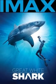 Watch Great White Shark
