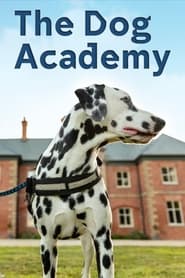 Watch The Dog Academy