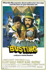 Watch Busting