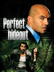 Watch Perfect Hideout