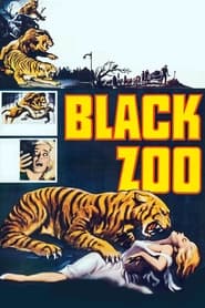 Watch Black Zoo