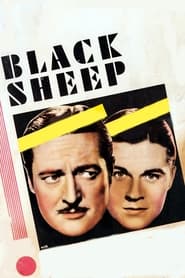 Watch Black Sheep