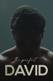 Watch The Perfect David