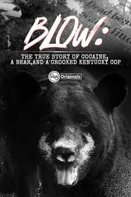 Watch Blow: The True Story of Cocaine, a Bear, and a Crooked Kentucky Cop