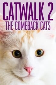 Watch Catwalk 2: The Comeback Cats
