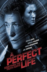 Watch A Perfect Life