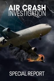 Watch Air Crash Investigation: Special Report