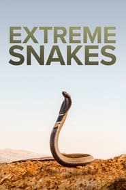 Watch Extreme Snakes